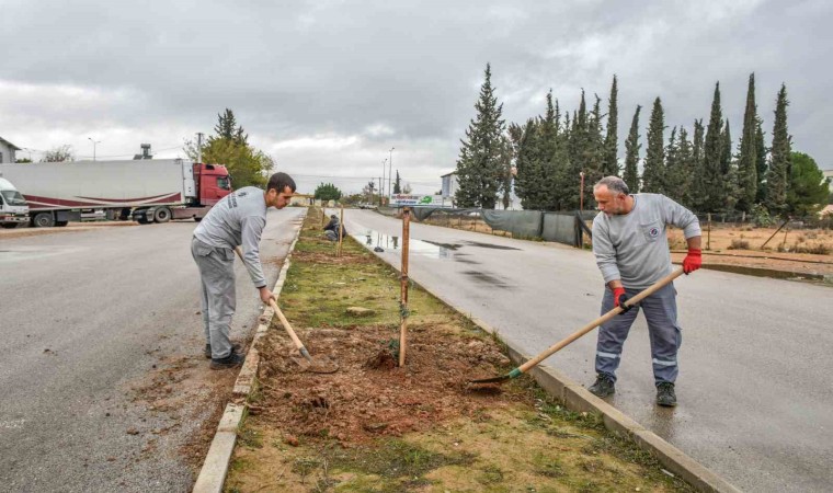 Kepez tarihi mirasıyla yeşilleniyor