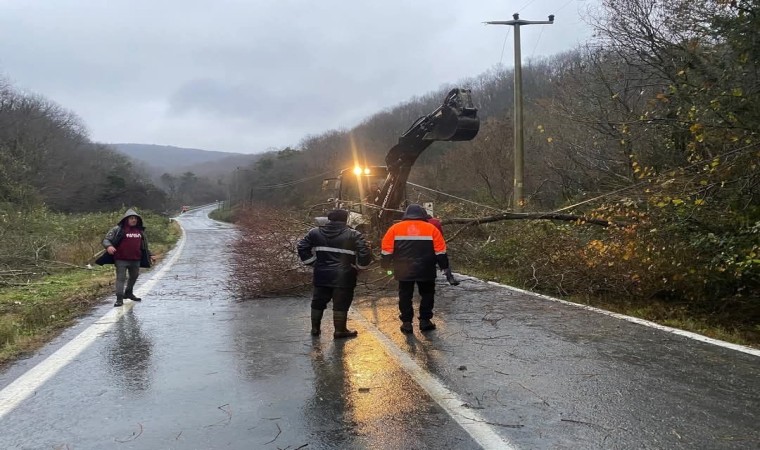 Kırklarelinde rüzgardan kopan elektrik telleri yangına neden oldu