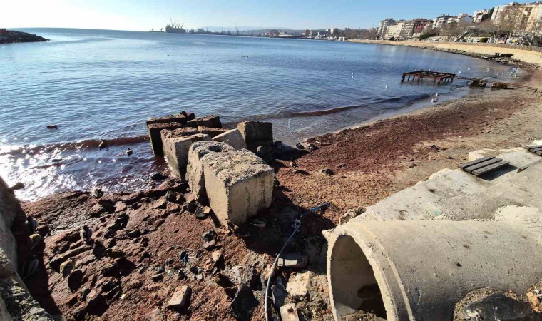 Marmara Denizinde lodos sonrası kıyılara kızıl yosun vurdu