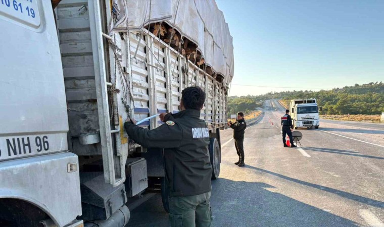 Mersinde orman suçlarına karşı denetimler sürüyor