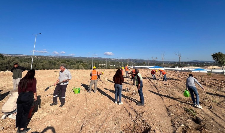 Mersinde otoban yol kenarları ağaçlandırılıyor