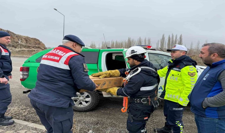 Muşta elektrik tellerine sıkışan puhu kuşu kurtarıldı