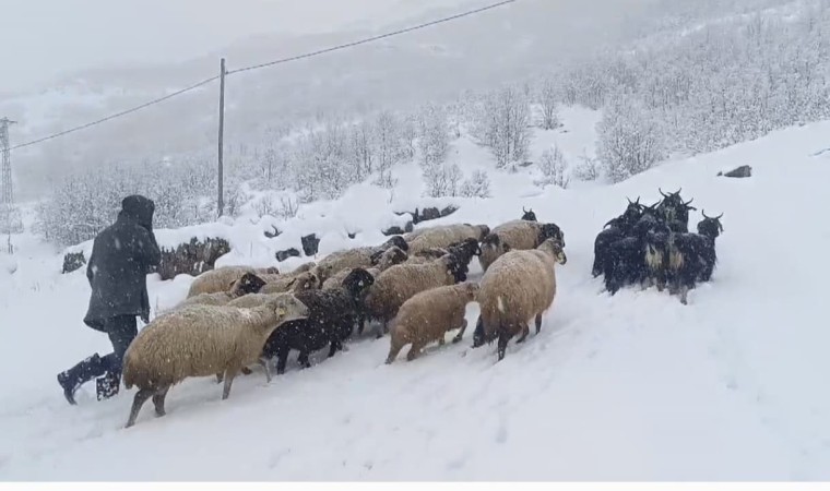 Muşta kar yağışı çiftçilerin hayatını olumsuz etkiledi