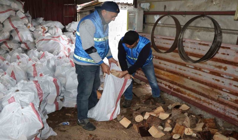 Nazillide devrilen ağaçlar yakacak olarak kullanılacak