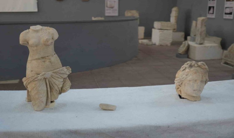 Pompeiopoliste heyecanlandıran keşif: Afrodit heykelleri bulundu