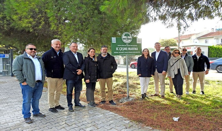 Sakız Ağacım Çeşme projesiyle sakız ağacı sayısı hızla artıyor