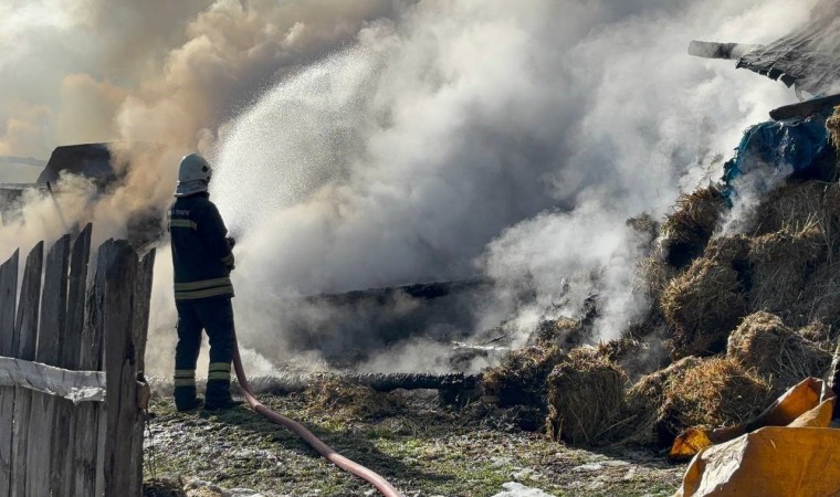 Samanlık ve ahır küle döndü: 3 büyükbaş telef oldu, 17si kurtarıldı