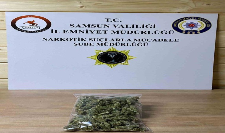 Samsunda 142,5 gram skunk ele geçirildi