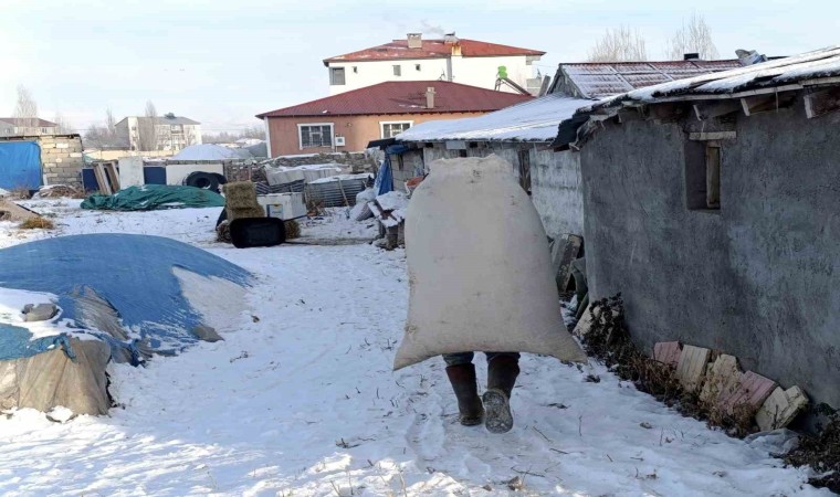 Sibirya soğukları Ağrıda yaşamı felç etti