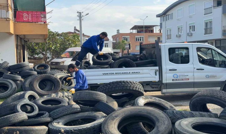 Sineklerin üreme alanı lastikler toplanıyor