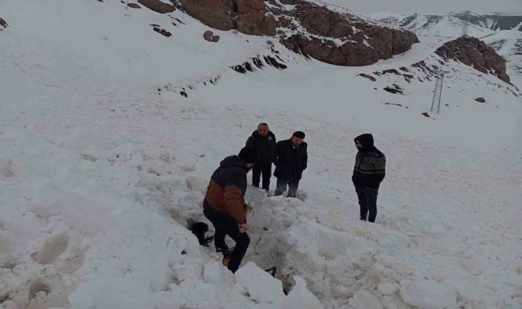 Şırnakta çığ düştü, kepçe operatörü ölümden döndü