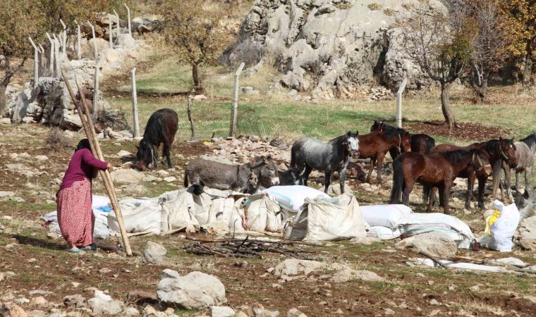 Şırnakta göçerlerin kışlaklara doğru zorlu yolculukları devam ediyor