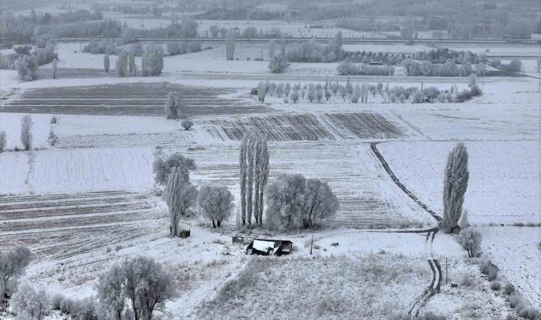 Sivasta Sibirya soğukları, eksi 15 derece ile doğa sanata dönüştü