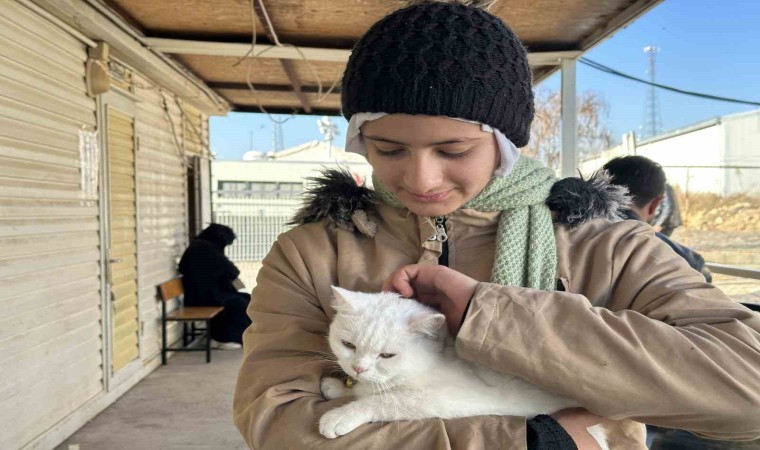 Suriyeli mülteciler vatanlarına dönmeye devam ediyor