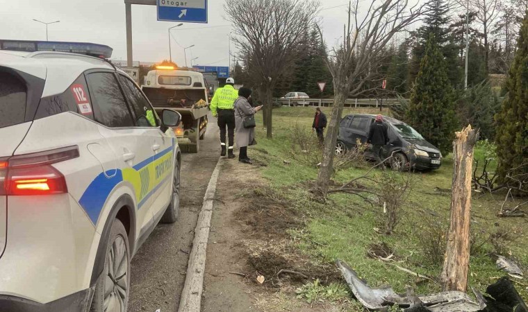 Takla atan otomobil ağaçları devrildi