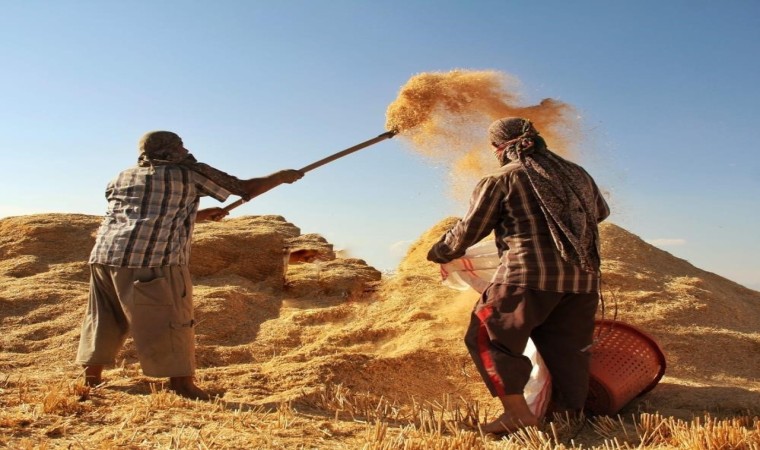 Tarımsal girdi fiyat endeksi yıllık yüzde 32,59 arttı