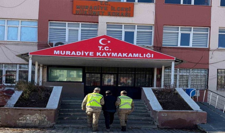 Vanın Muradiye ilçesinde 5 düzensiz göçmen yakalandı