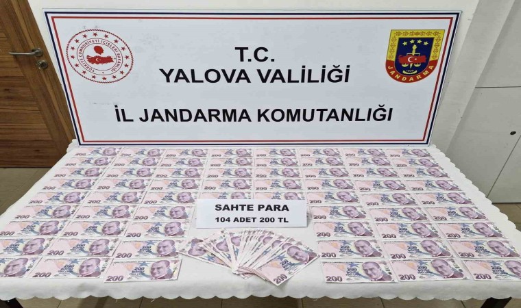 Yalovada sahte para operasyonunda 2 şüpheli tutuklandı