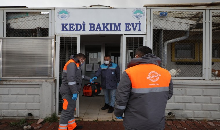 Yardıma muhtaç sokak hayvanları Melikgazinin sevimli dost ambulansı ile hayata tutundu