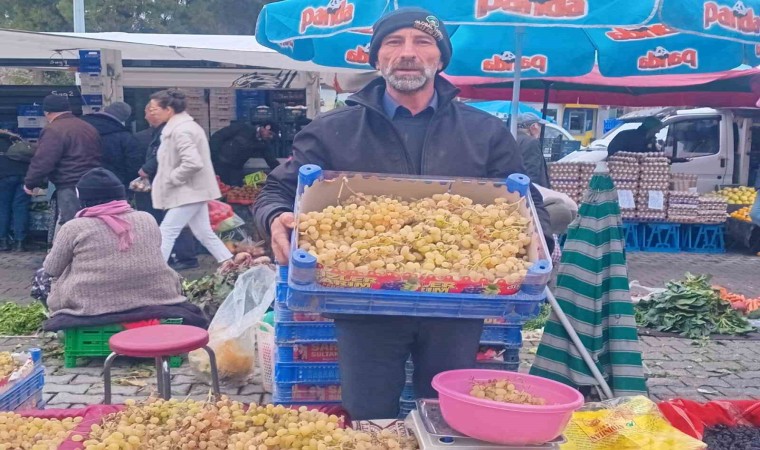 Yılbaşı sofralarının taze üzümü Sarıgölden