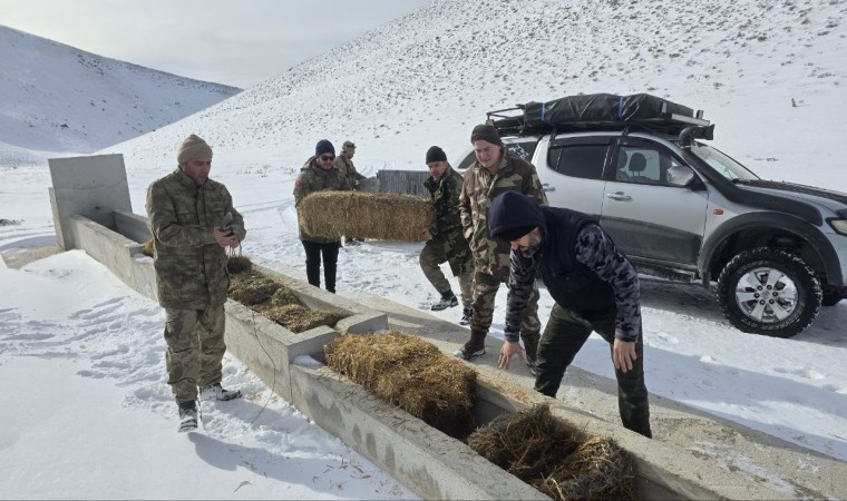 Yılkı atları için karla kaplı Akdağa saman taşıdılar