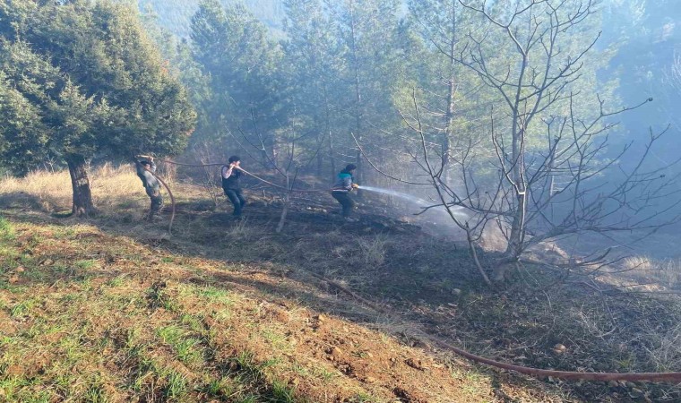 Adanada orman yangını kontrol altına alındı