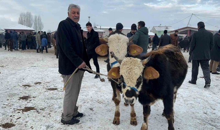 Ağrı Hayvan Pazarında dondurucu soğuk çileye dönüştü