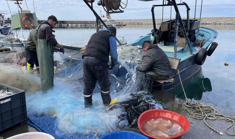 Al da Gel teknesiyle denize açıldılar 2 ton lüferi alıp geldiler