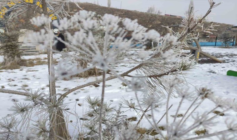 Ardahanda Sibirya soğukları