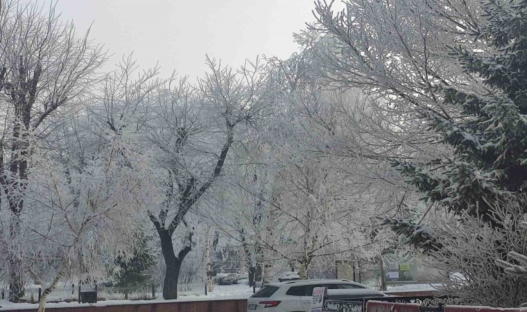 Ardahanda Sibirya soğukları: Göle eksi 19