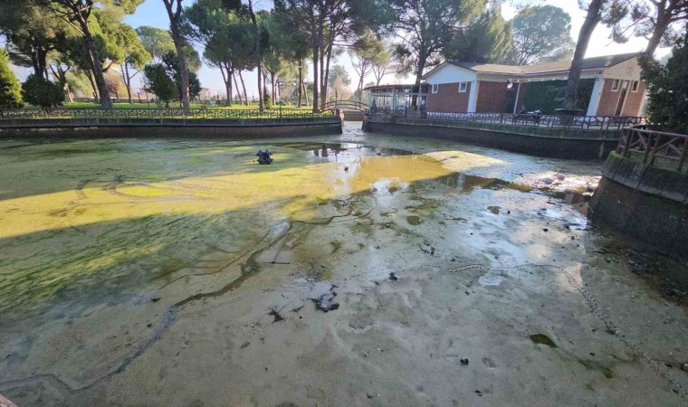 Aydın Büyükşehirden Sümerparkta kapsamlı temizlik ve bakım çalışması