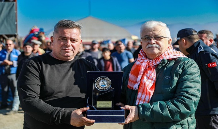 Balıkesirde deve güreşi heyecanı yaşandı