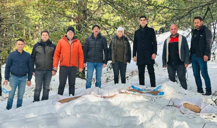 Balıkesirde yaban hayvanları unutulmadı