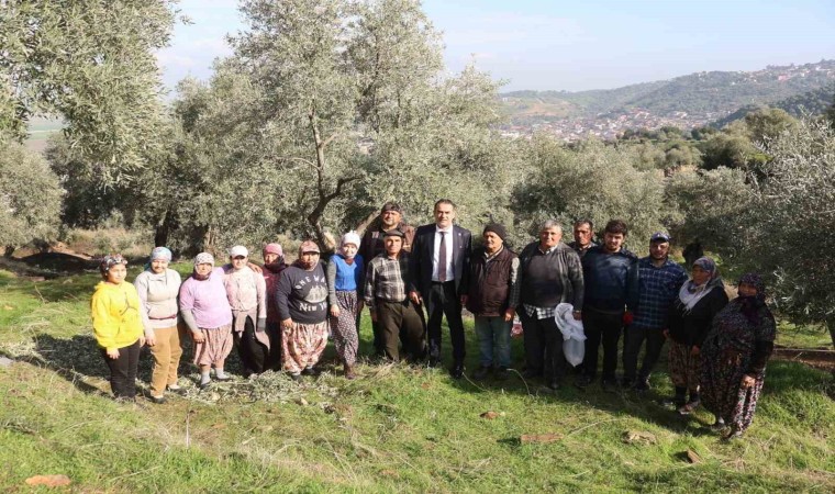 Başkan Arıcı zeytin hasadında üreticiler ve işçiler ile bir araya geldi