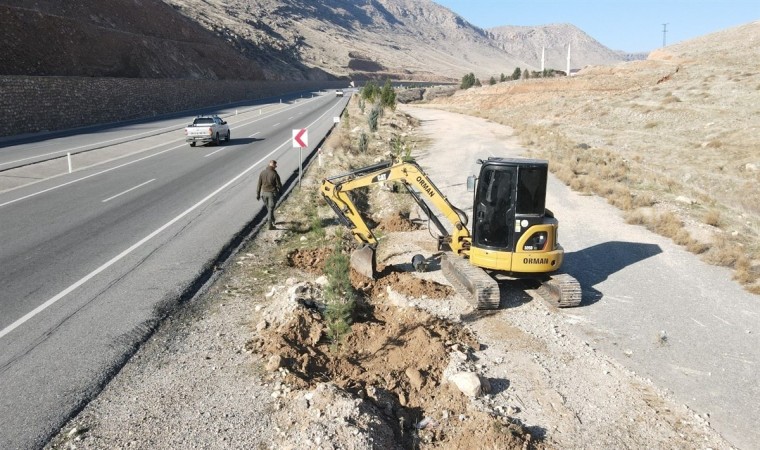 Batmanda 3 bin 620 adet çam fidanı dikildi