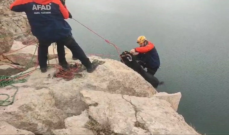 Batmanda kayalıklarda mahsur kalan 20 keçi AFAD ekiplerince kurtarıldı