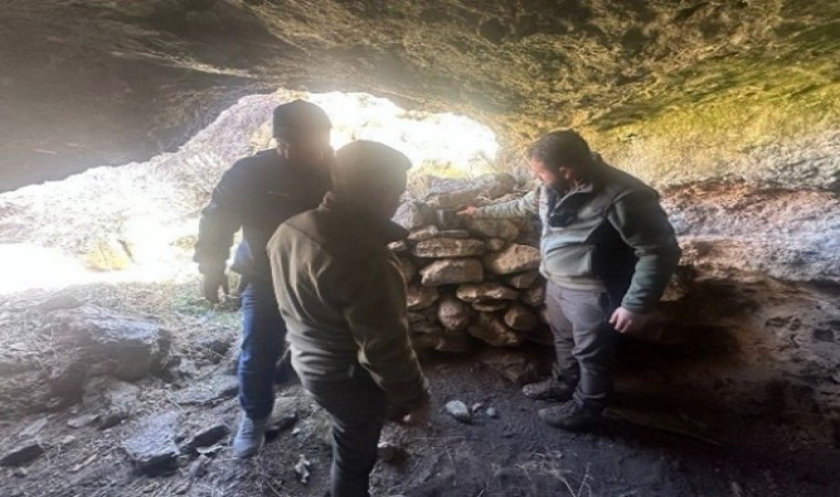 Batmanda yaban hayatını görüntülemek için foto kapanlar kuruldu