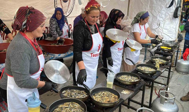 Bodrumda hamsi ziyafeti: 3 ton hamsi dağıtıldı