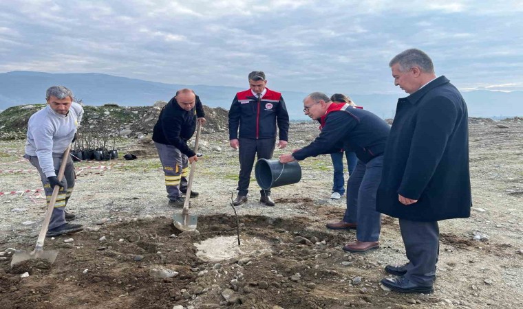 Buharkentte Kaliteli İncir, Kaliteli İlek projesi kapsamında fidan dikimi gerçekleştirildi