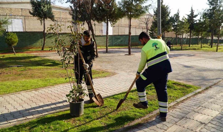 Burak Mahallesinde hasret sona erdi