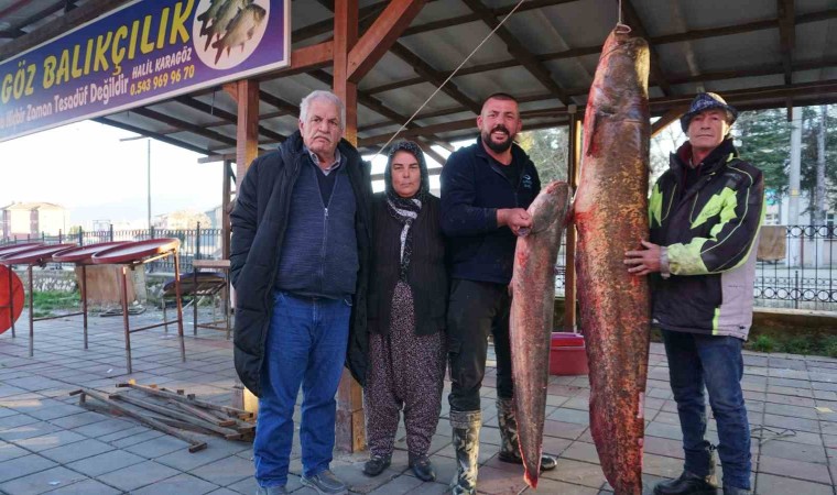 Burdurda gölde tutulan dev yayın balığı görenleri şaşırttı