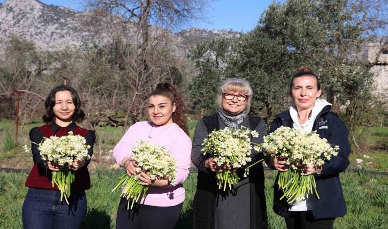 Büyükşehirden kadın üreticilere mis kokulu destek