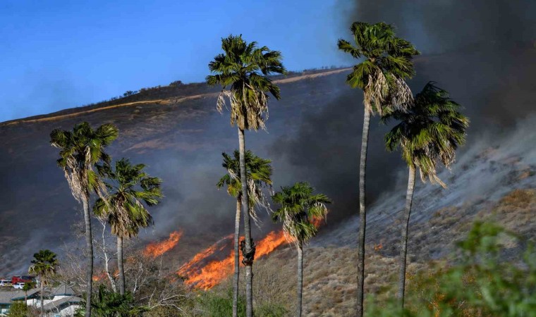 Californiada çıkan yeni yangın kontrol altına alındı, 1 kişi gözaltında