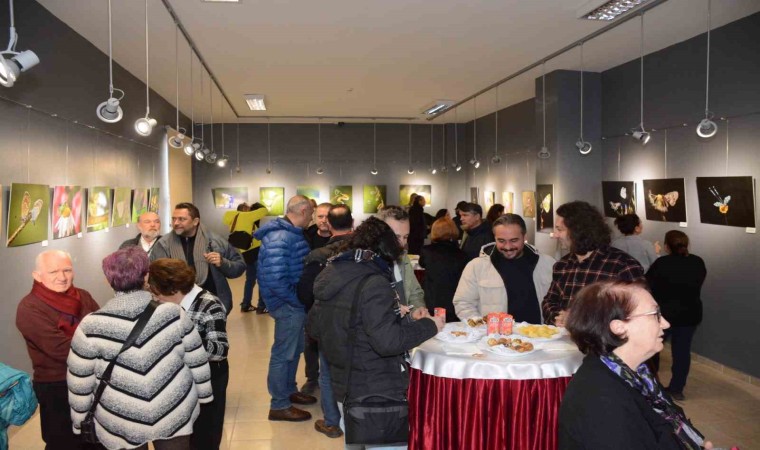 “Doğanın Sessiz Tanıkları” fotoğraf sergisi Anadolu Üniversitesi İBFde açıldı