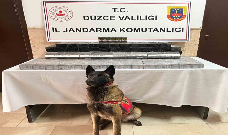 Düzcede tırda bin 69 paket kaçak sigara ele geçirildi