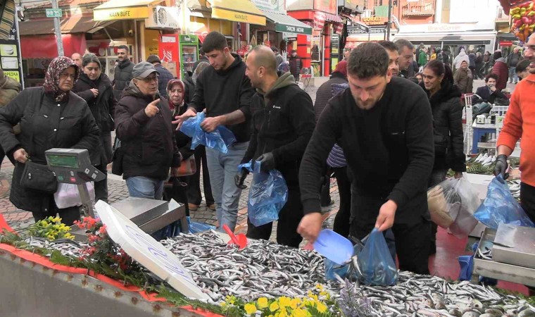 Edirnede hamsi bolluğu: Kilosu 100 liraya düştü