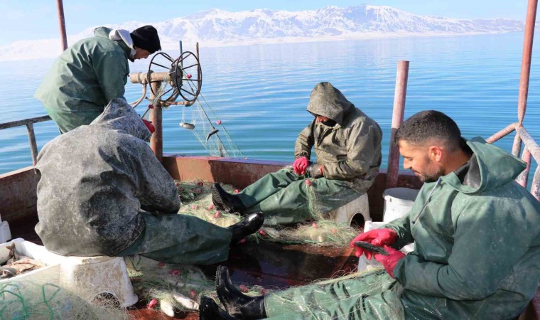 Erçek Gölündeki balık popülasyonu balıkçıları sevindirdi