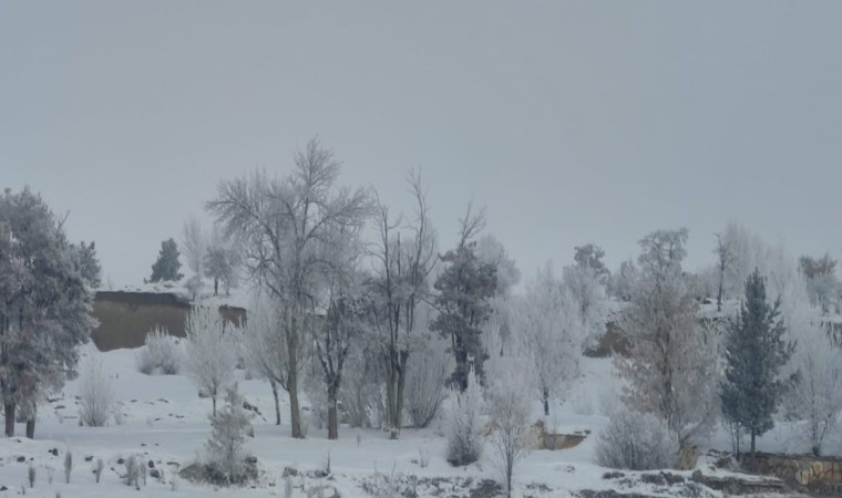 Erzurum buz kesti