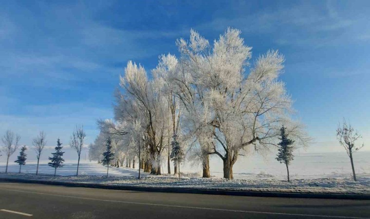 Erzurum Ovası eksi 24 ile buz kesti