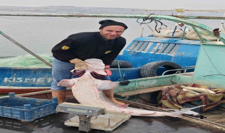 Havyarı 2 milyon liraya satılıyor: Tuncelide 42 kiloluk Sibirya Mersin balığı ağlara takıldı